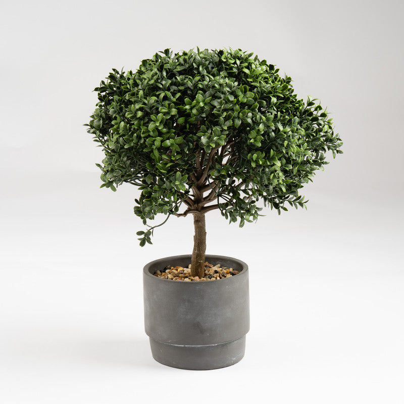 45cm Artificial Mini Topiary Plant in Cement Pot